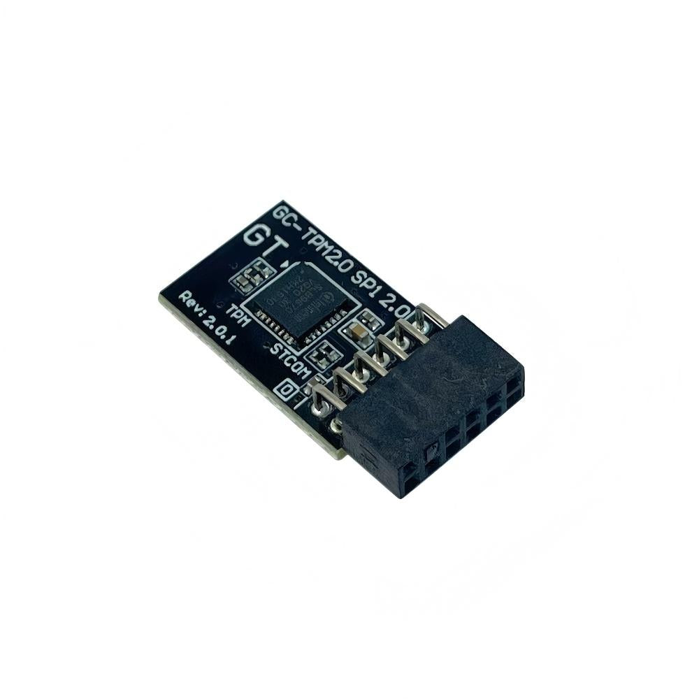 For GIGABYTE B650 PRO AX/ELITE AX/EAGLE AX/EAGLE/UD AC/UD AX GC-TPM2.0 SPI 2.0  (12pin-1) Security Module SLB9670